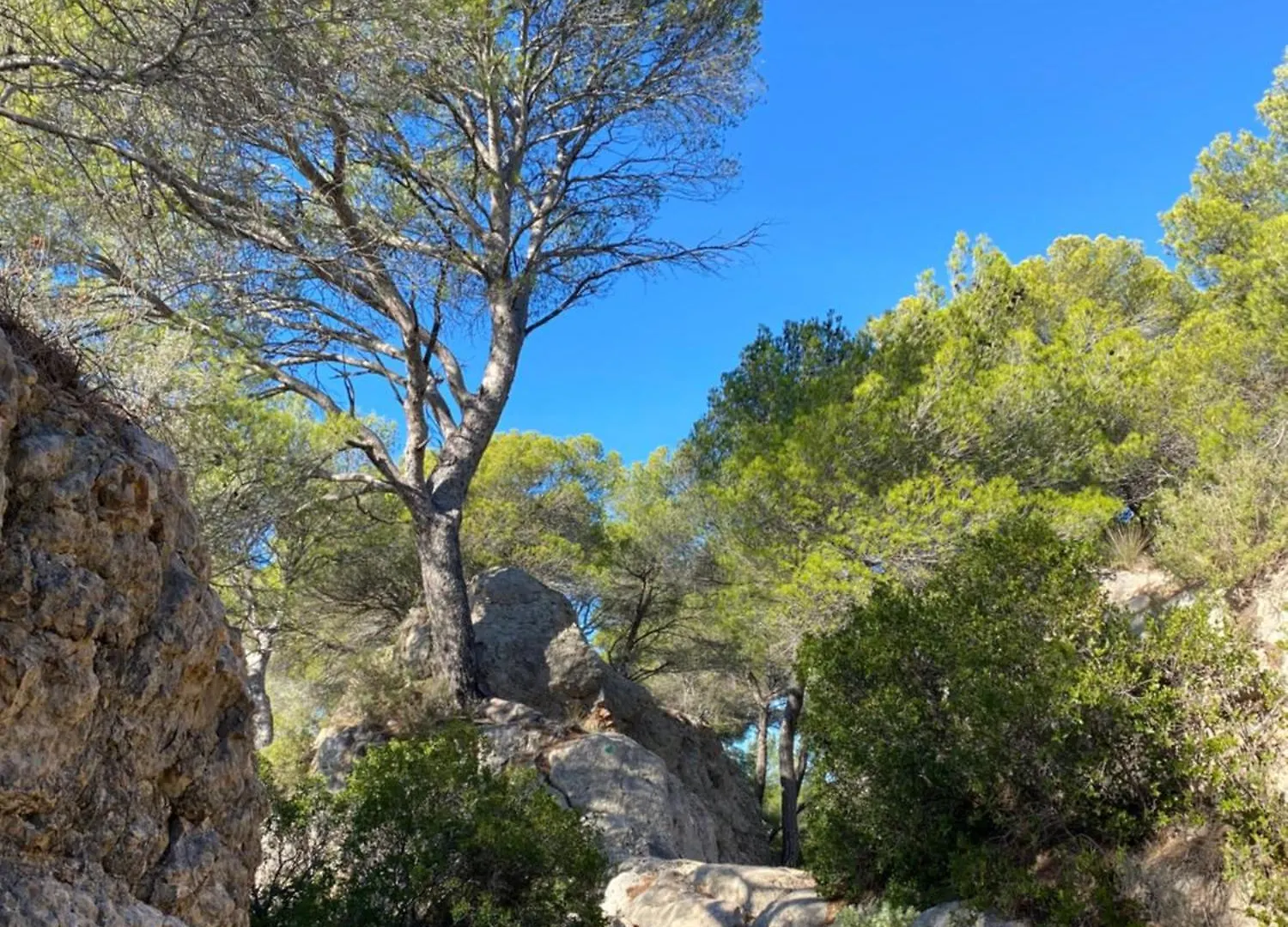 Lovely House Teracce And Parking In Historic Center Aix-en-Provence 0*,  Fransa